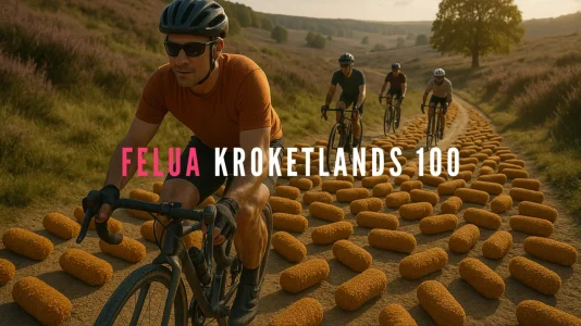Kroketlands 100.webp