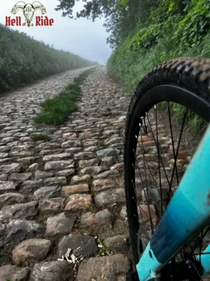 hell of a ride 3.webp