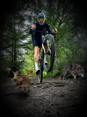 Animals.webp