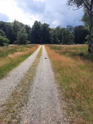 Dirty Felua 001.webp