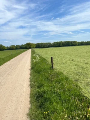 Dirty Felua 002.webp