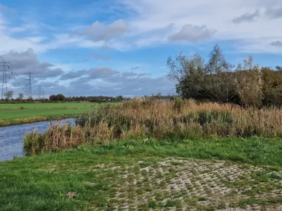 Dirty Felua 004.webp