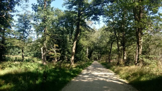 Redelijk Brede Paden Gravel 001.webp