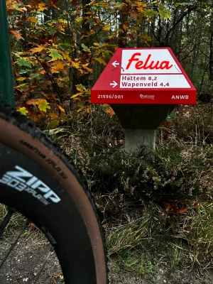 felua padddestoel.webp