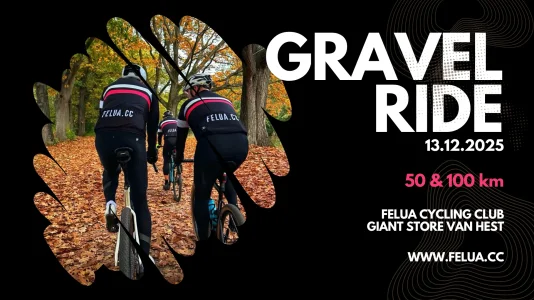 Felua x Van Hest.webp