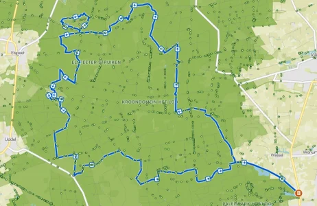 Wake up the wildlife.webp