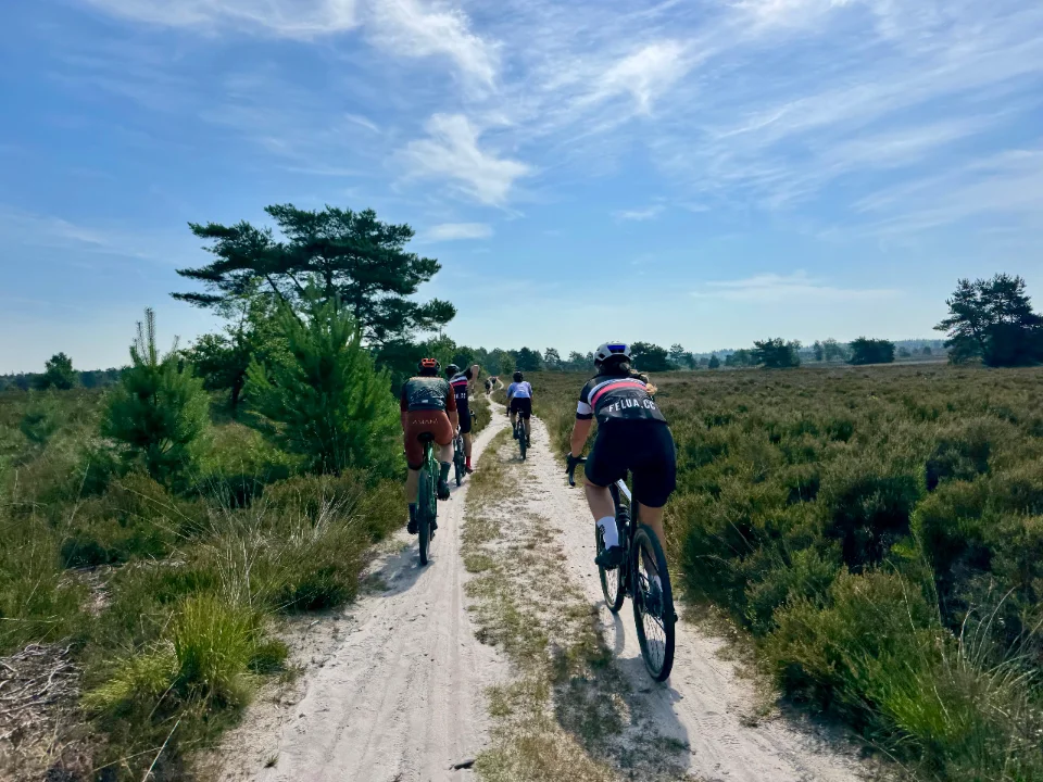 Ontdek Gravelbiken op de Veluwe – Rijd Mee met Felua Cycling Club in Apeldoorn.webp